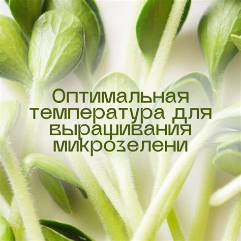 Поддержание оптимальной температуры с помощью колесика