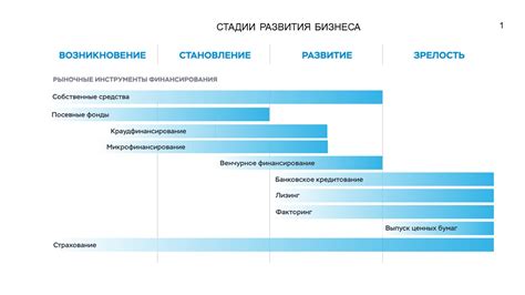 Поддержка малого бизнеса и предпринимательства