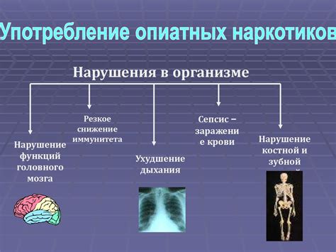 Поддержка работы нервной системы