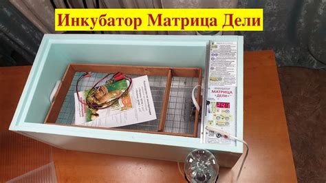 Подробная инструкция по установке инкубатора матрица дели