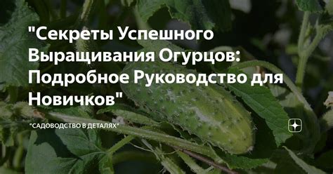 Подробное руководство для успешного удаления