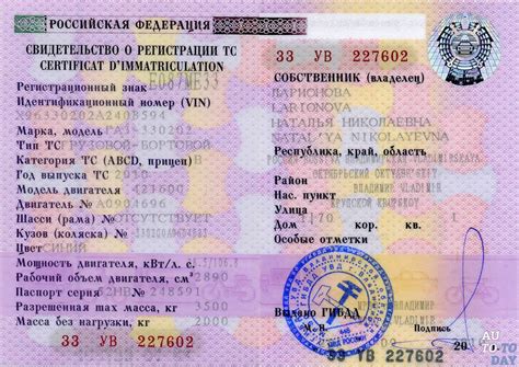 Поиск информации о владельце номера