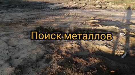 Поиск металлов
