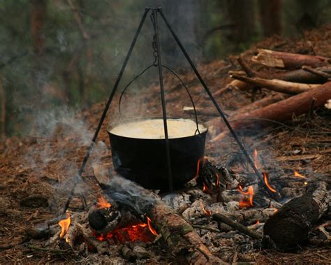 Поиск новых источников пищи
