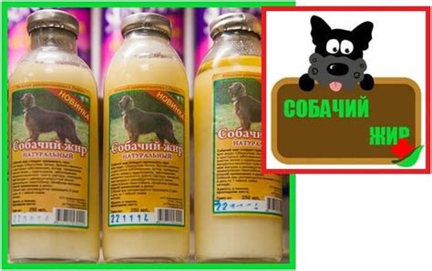 Полезные свойства собачьего жира