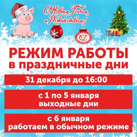 Полезные советы для посетителей рынка Ждановичи в праздничные дни