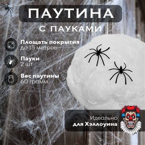 Полезные советы по обращению с пауками
