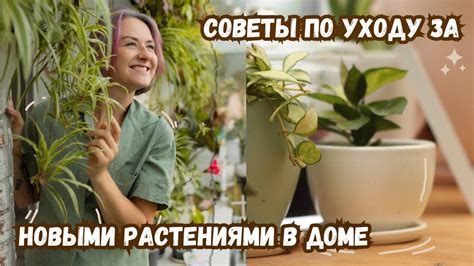 Полезные советы по уходу за новыми растениями
