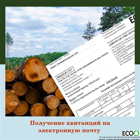 Получение договора на электронную почту