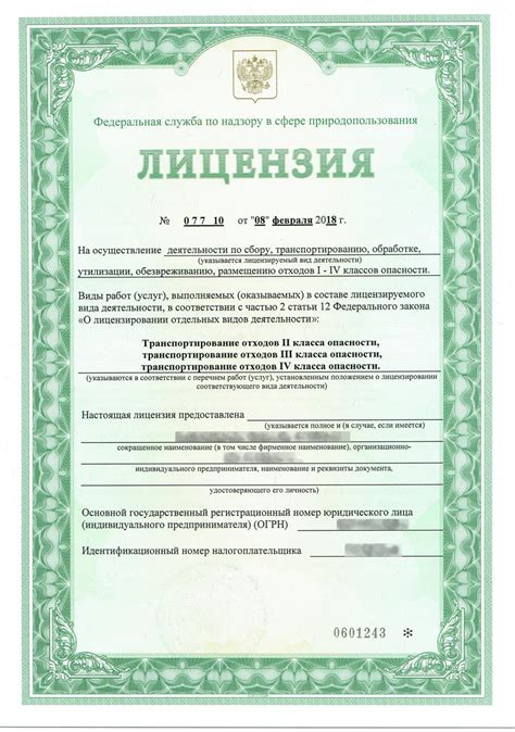 Получение лицензии и загрузка игры