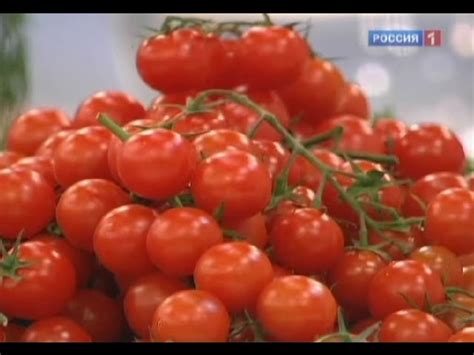 Польза и вред помидоров черри для организма