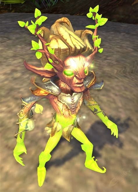 Понимание важности удаления украшений в World of Warcraft