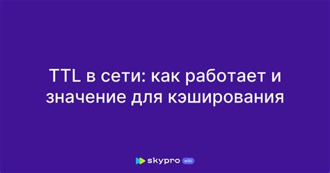 Понимание роли ttl в сети