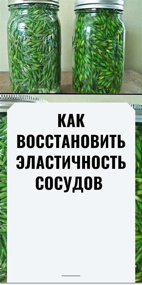 Популярные народные средства очистки пиявки от крови