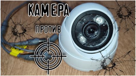 Последствия встречи с синицей в гараже: суеверные верования и реальность