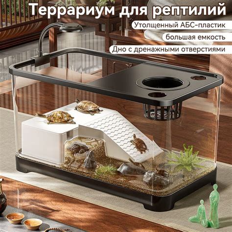 Последствия для черепахи