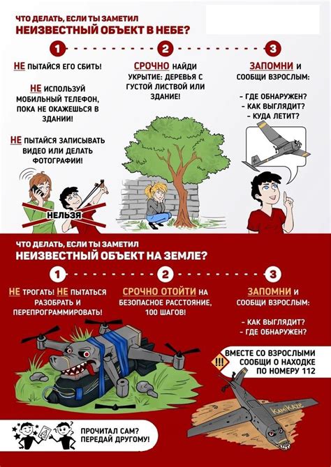 Последствия и действия при обнаружении мертвой собаки