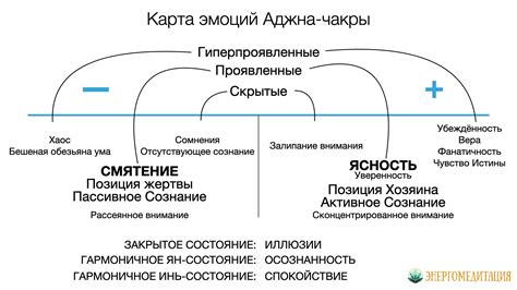 Постоянная позитивная эмоциональная реакция