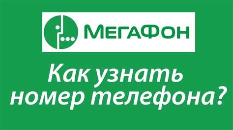 Почему важно узнать свой номер в Мегаком Кыргызстан