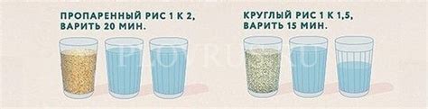 Правильное соотношение крапивы и воды