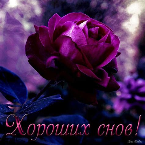 Превратности чувств: сон о хороших отношениях