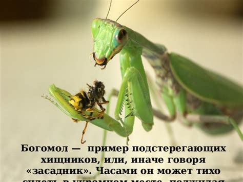 Преимущества нахождения в укромном месте