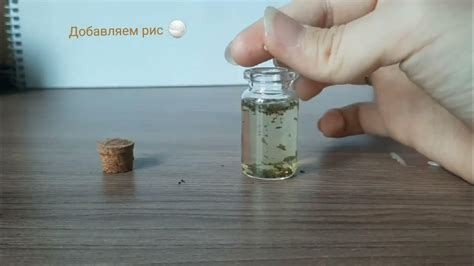 Приготовление зелья в реальной жизни: подробная инструкция