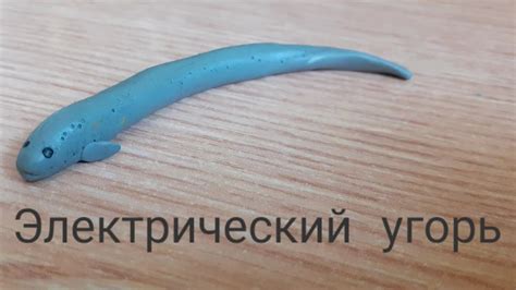 Приготовление электрического угря: рецепты и советы