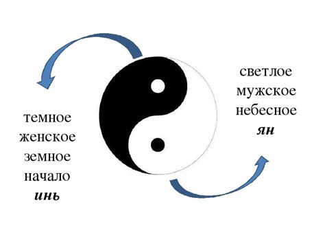 Признаки инь и янь