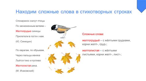 Примеры использования различных количеств стоп в стихотворных строках