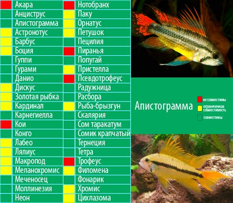 Приобретайте только совместимых рыб
