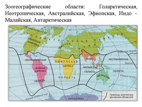 Природные ареалы обитания