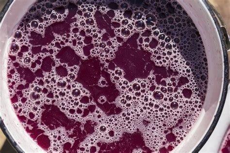 Причины, по которым яблочный сок не бродит