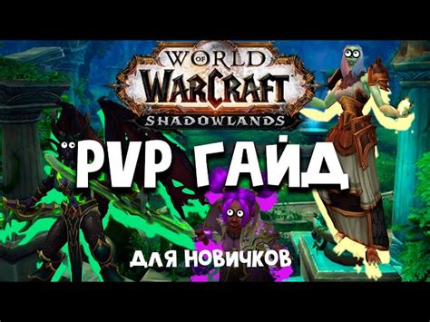 Проверка совместимости скина с версией игры