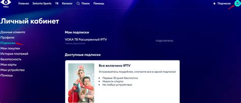 Проверка статуса ВОКА ТВ