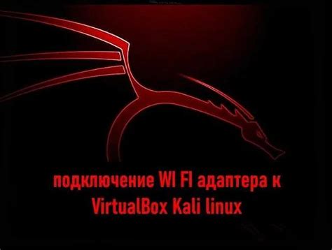 Проверка текущей версии Kali Linux