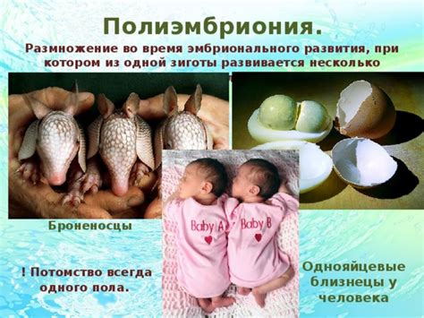 Происходящее при смерти одного из близнецов