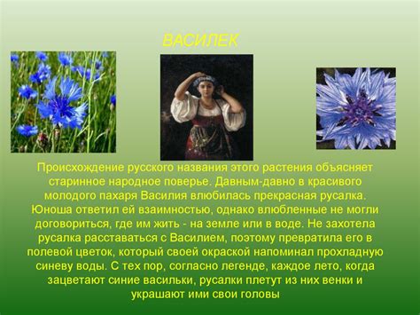 Происхождение и поверье