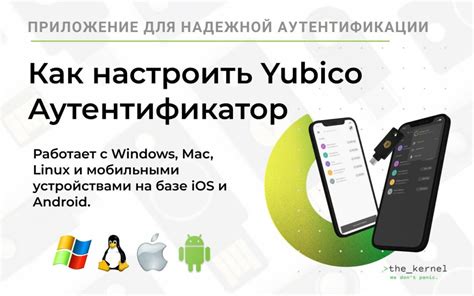 Простая инструкция по поиску авторов через аутентификатор
