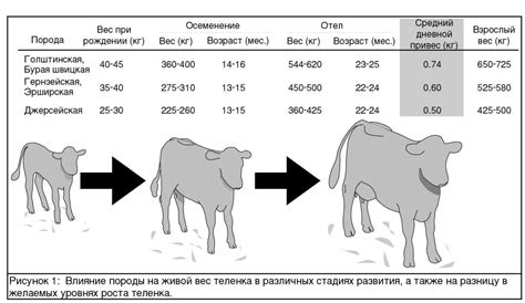 Простая формула для определения яловости коров