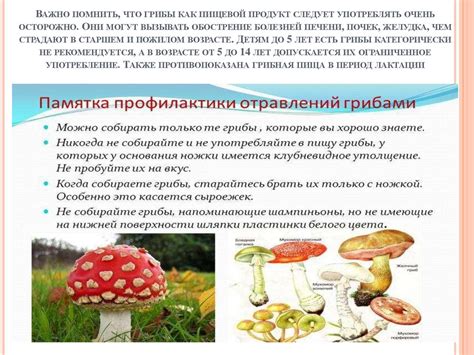 Профилактика отравления грибами при приготовлении супа