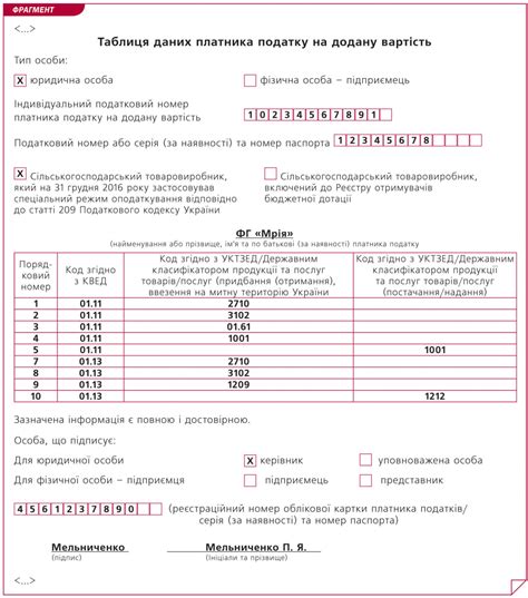 Процедура получения номера плательщика НДС