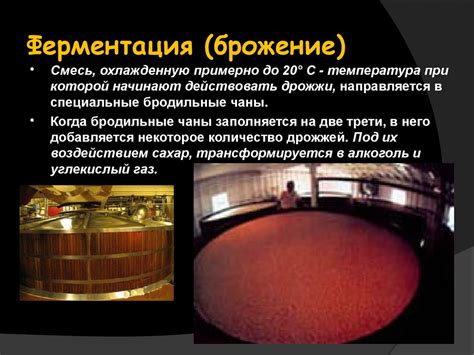 Процесс брожения и его регулировка