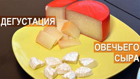 Процесс дегустации сыра с белыми крупинками