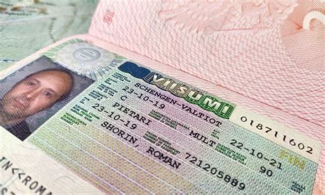 Процесс оформления и получения европаспорта для собаки