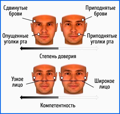 Работа над мордой и чертами лица