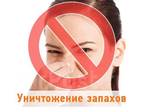Раздел 3: Эффективное удаление неприятного запаха