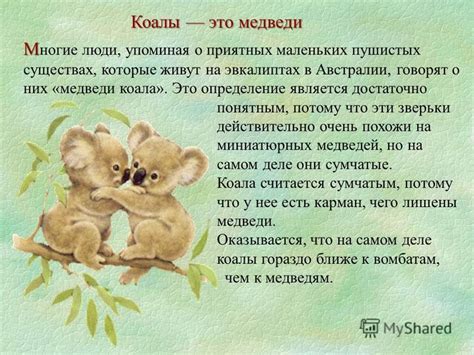 Различные сны о маленьких пушистых существах