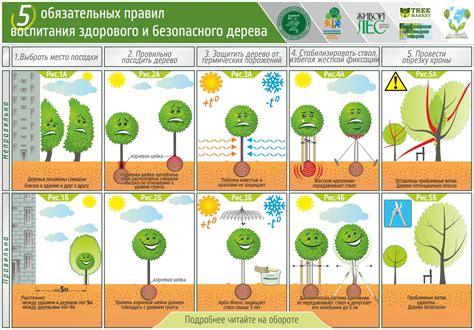 Размеры и подход к посадке