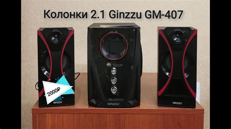 Распаковка и подключение колонки ginzzu